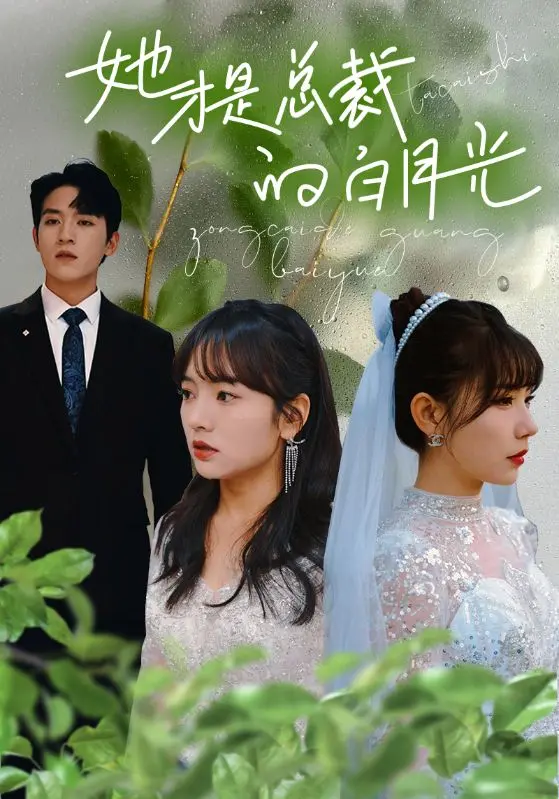 《她才是总裁的白月光》：年度狗血爽剧？看灰姑娘如何逆袭，闪瞎前任的眼！