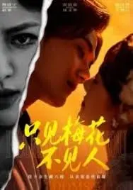 《只见梅花不见人》：跨越时空的爱恨纠葛，一场充满误会与牵绊的民间传说