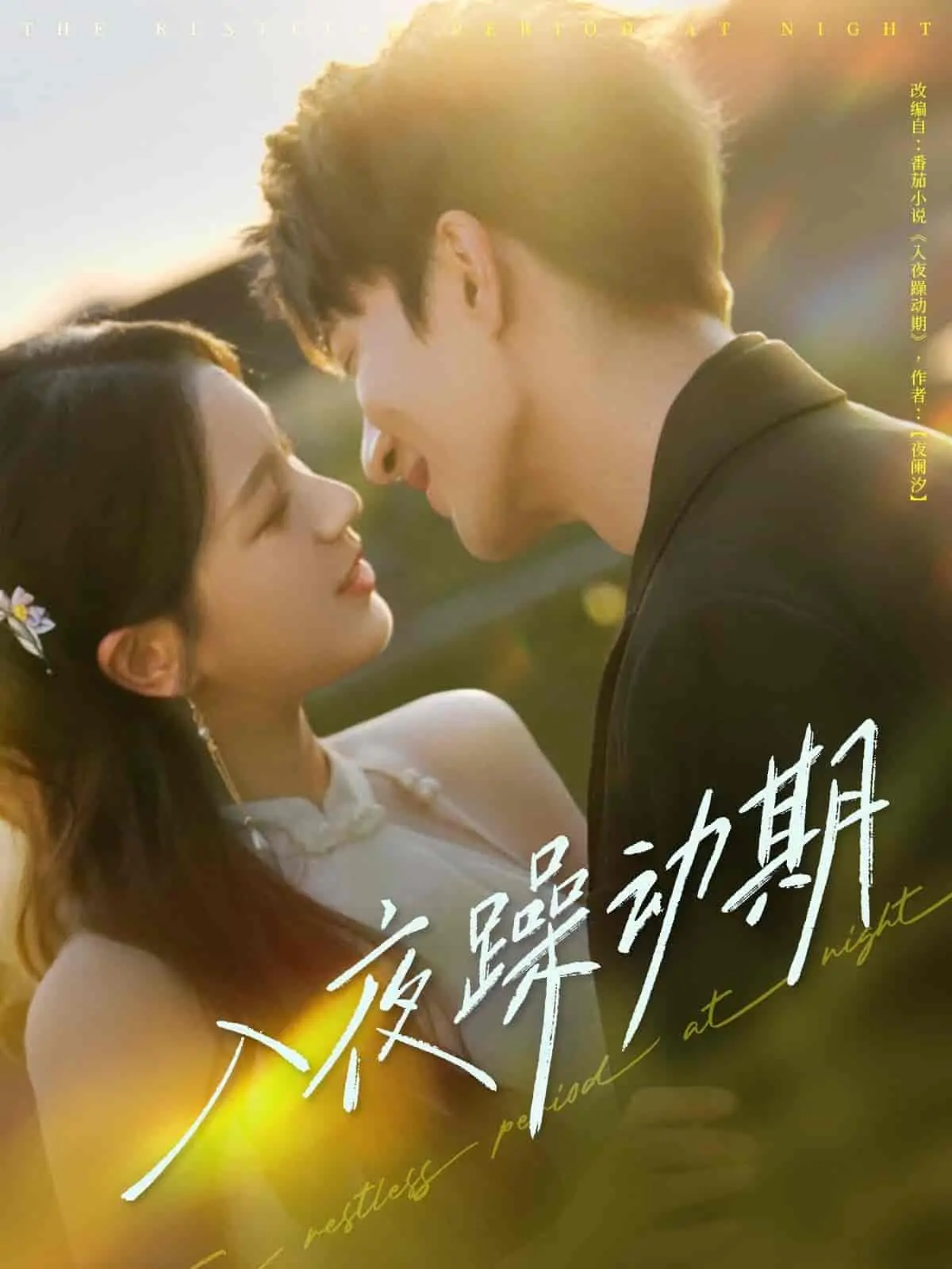 《入夜躁动期》：深夜的欲望暗涌，当城市苏醒，人性彻底失控